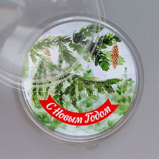 Вкладыш в купол Лесной