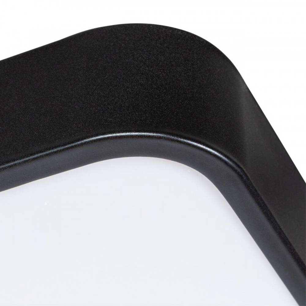 Накладной светильник Arte Lamp A2669PL-1BK