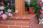 King Klinker, Красный, 01 Ruby-red, 245x120x15 - Клинкерный подоконник