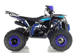 Квадроцикл WELS THUNDER EVO