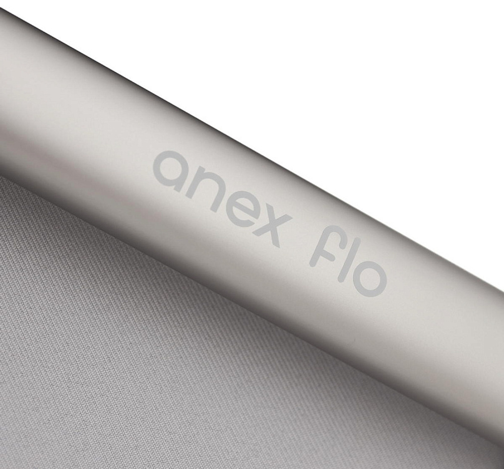 Детская коляска Anex Flo 2 в 1 Frossy