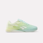 Кроссовки женские Reebok Nano X5 - 100225452