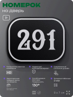 Номерок на дверь квартиры 291, для кабинета, офиса, шильдик 9 х 7 см, черный, Айдентика Технолоджи