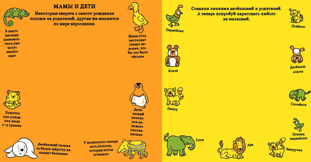 Животные. Книжка с волшебной страничкой