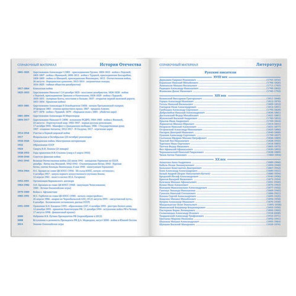 Дневник 5-11 класс 48 л., твердый, BRAUBERG, глянцевая ламинация, с подсказом, "Кот и космос", 105584