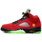 Кроссовки Air Jordan 5 Retro SE What The