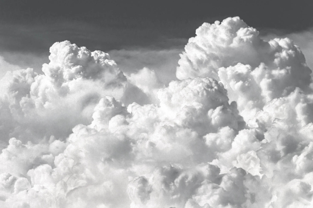 Дизайнерские обои Wall Street Euphoria-2019