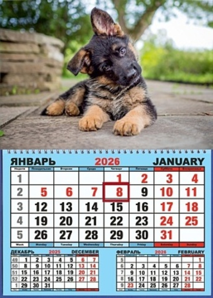 Календарь настенный 310*420мм на 2026г. ОДНОБЛОЧНЫЙ с курсором и календ.сеткой "Щенок"