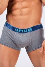 Мужские трусы R-109 Melange Grey Opium