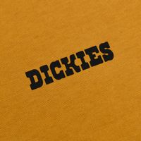  Футболка мужская Dickies Darrtown Short Sleeve Tee 