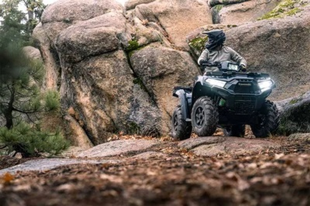Квадроцикл Kawasaki Brute Force 750 EPS (2024)