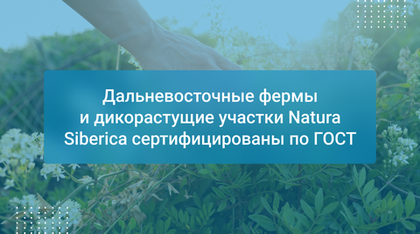Дальневосточные фермы и дикорастущие участки Natura Siberica сертифицированы по ГОСТ