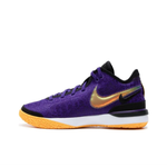 DR8788-500 Муж. MEN'S NIKE LEBRON NXXT GEN EP BASKETBALL SHOES