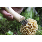 Нож грибника Opinel №8, нержавеющая сталь, рукоять бук, блистер, 1250
