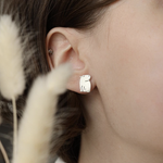 пусеты капибары