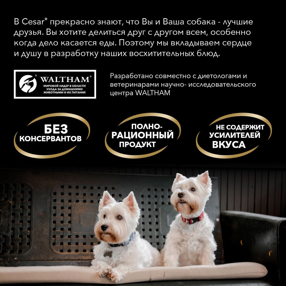 Тушеная телятина с овощами, 85гр влажный корм для собак, Cesar