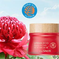 The Saem Urban Eco Waratah Cream крем для лица с экстрактом телопеи