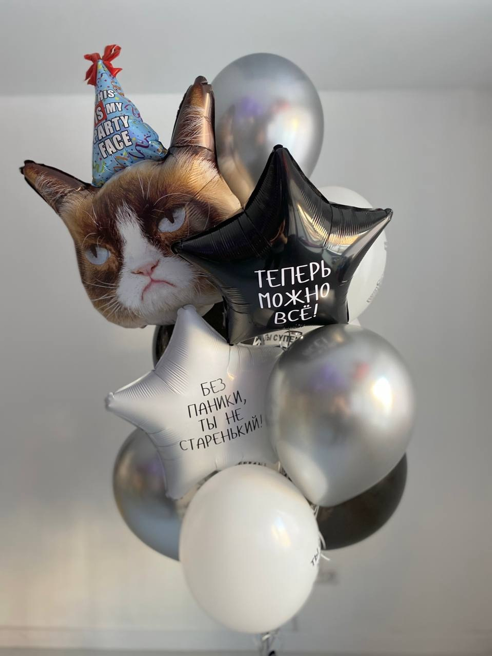 Вздушные шары Кот "Без паники, ты не старенький" №2056