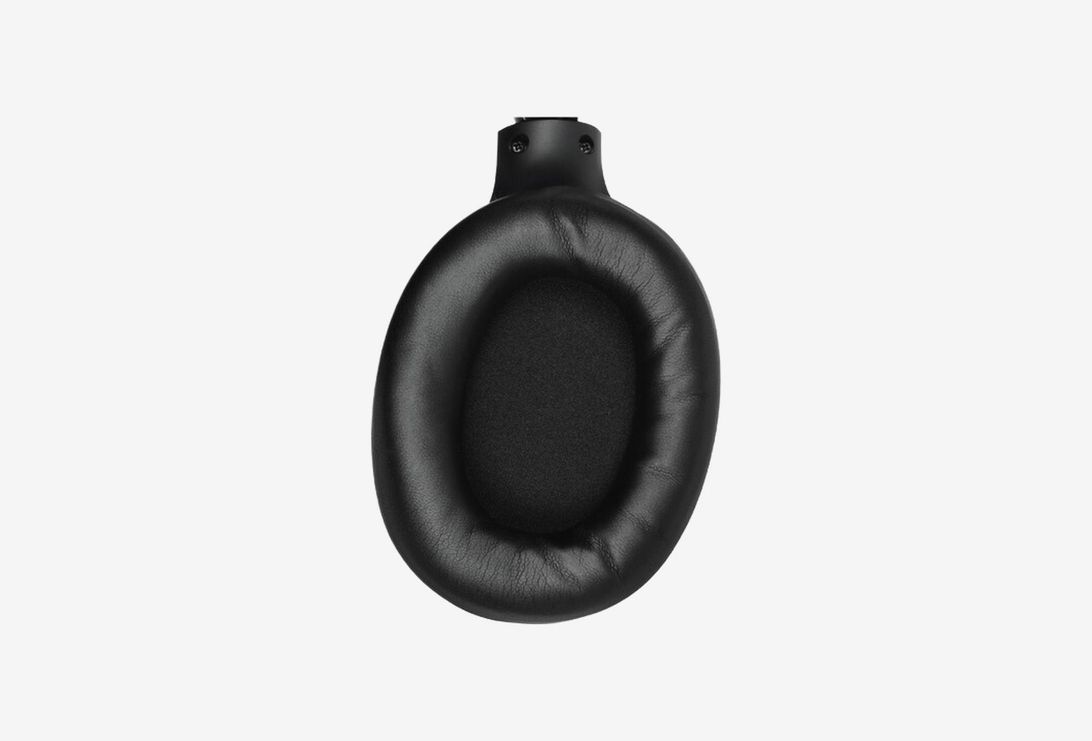 Fiero Rave_0426329101215