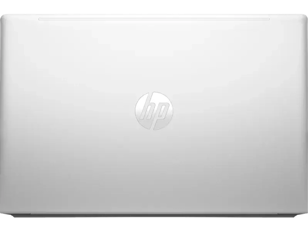 Ноутбук HP ProBook 450 G10 (816G5EA)