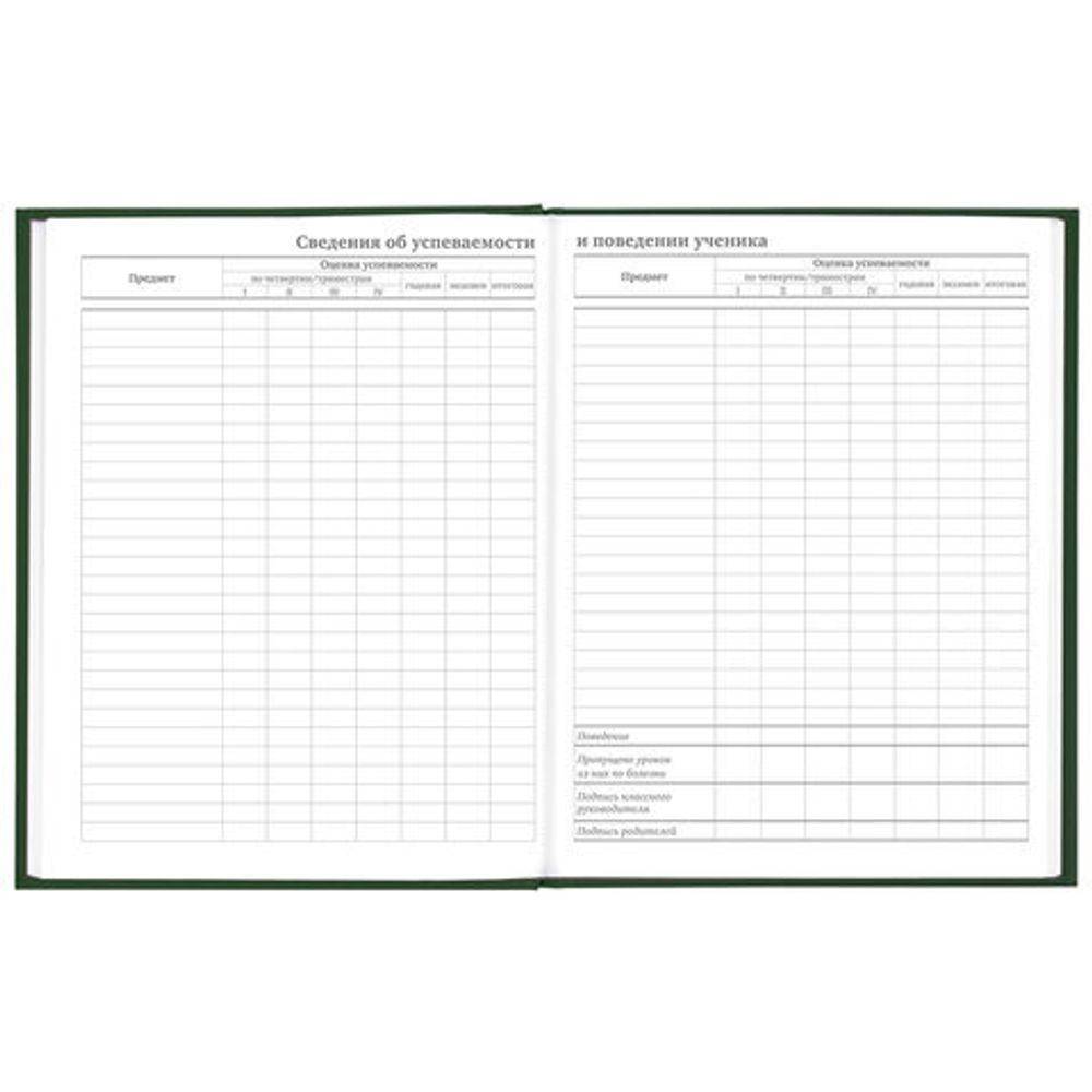 Дневник 5-11 класс 48 л., твердый, BRAUBERG, глянцевая ламинация, с подсказом, "Freestyle", 106395