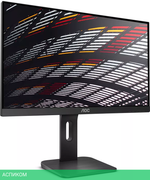 Монитор AOC X24P1