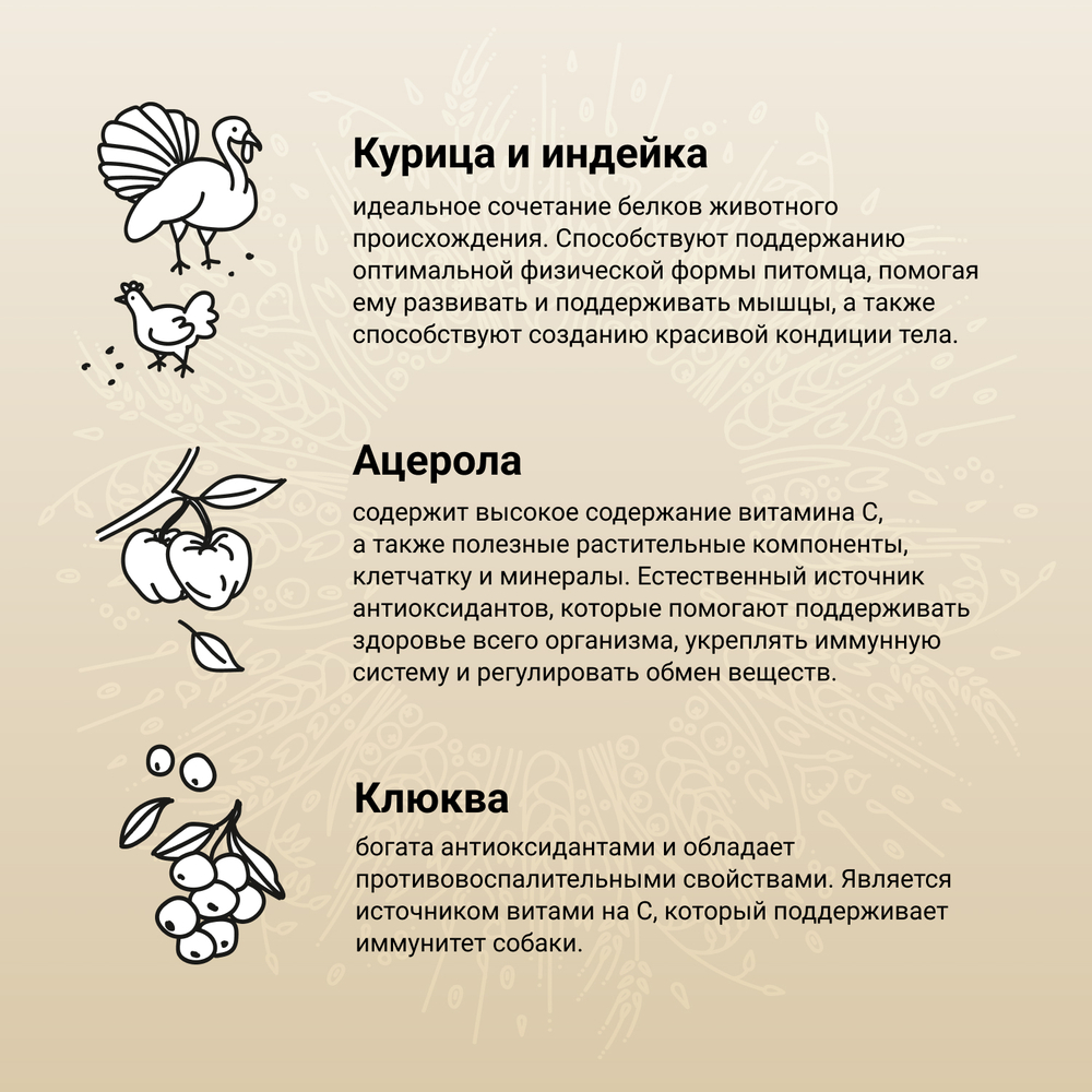 CRAFTIA NATURA Сухой корм для взрослых собак миниатюрных и мелких пород из курицы и индейки 640 г