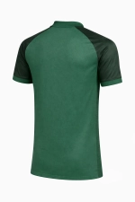 Футболка Nike Dri-FIT Trophy VI - зеленый