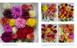 Life with Flowers: Inspiration and Lessons from the Garden