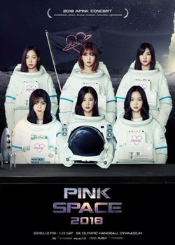 публикация Apink - Pink Space 2018 Behind Book