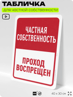 Табличка для частной территории "Частная собственность, проход воспрещен", на дом, для участка, организаций, предупреждающая, 40х30 см, Silver Plane x Айдентика Технолоджи