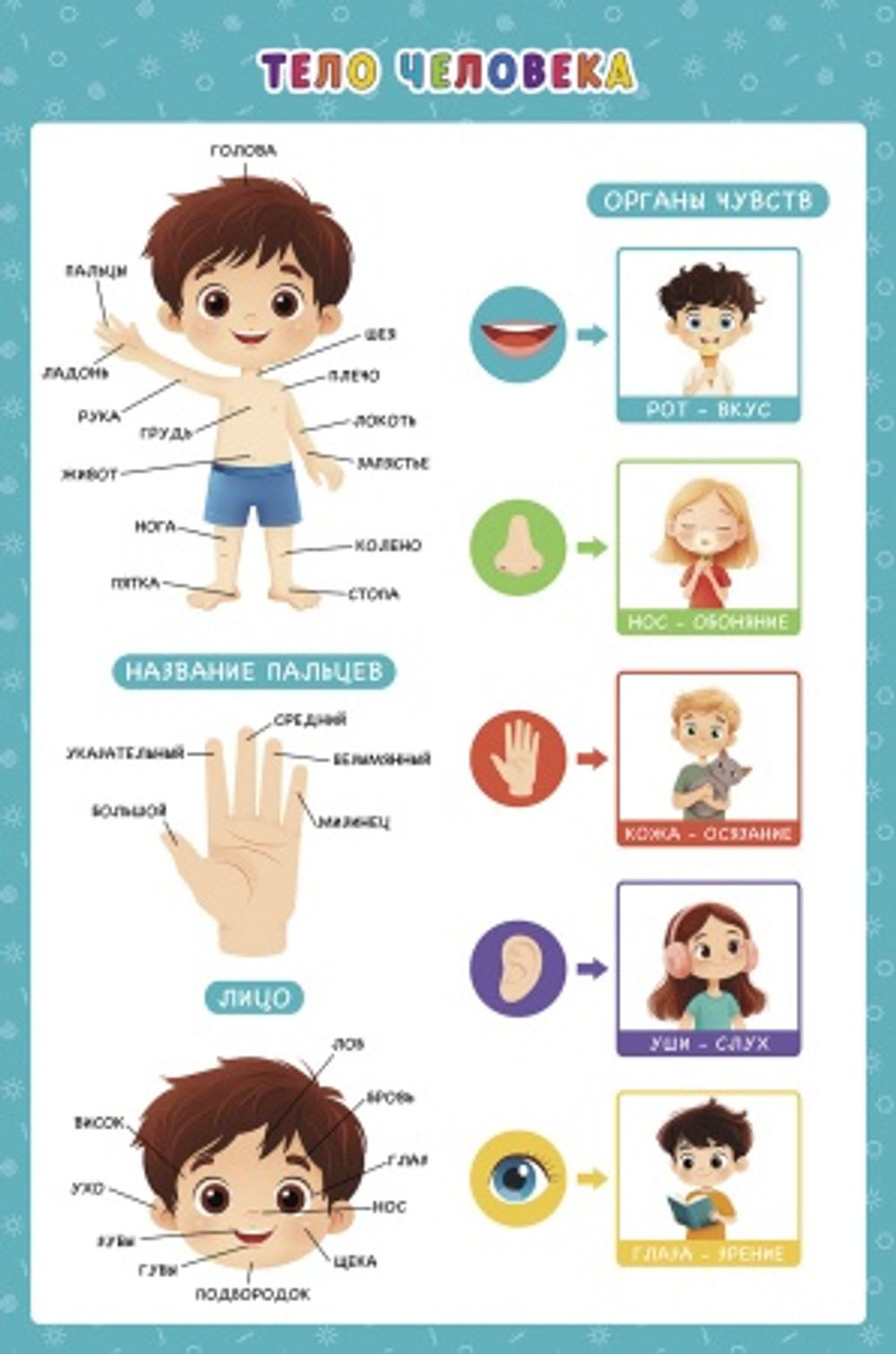 7h2jaircrvr28nbolf16g6sjggrestgi