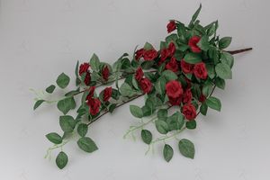 Ампельная кустовая роза Феерия