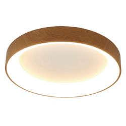 8588 Потолочный светильник NISEKO II