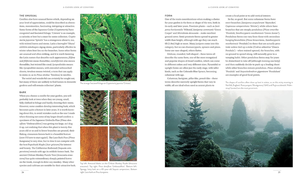 Gardening with conifers