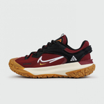 кроссовки Nike ACG Mountain Fly 2 Low Gtx Red / White