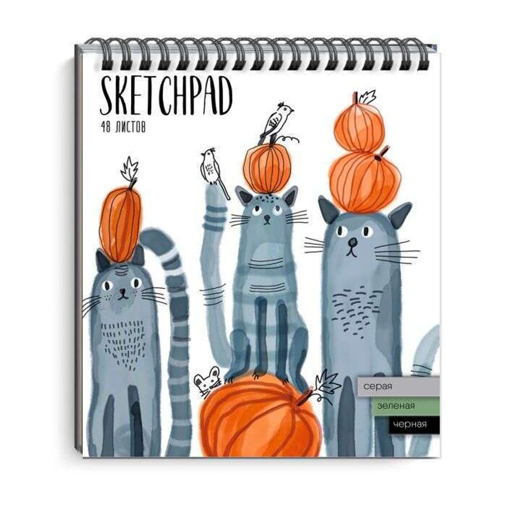 Скетчпад А5, 48л, гребень, 3 вида бумаги, Феникс+ Коты