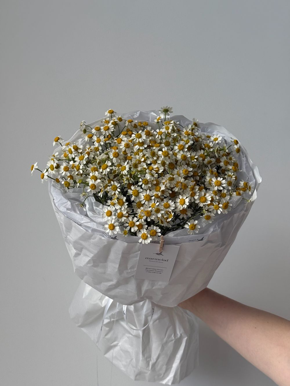 Букет моно из ромашек