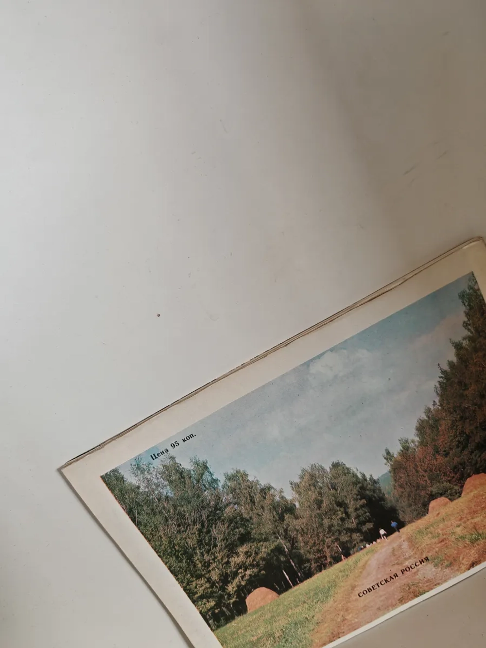 Живые, трепетные нити… Яснополянские этюды