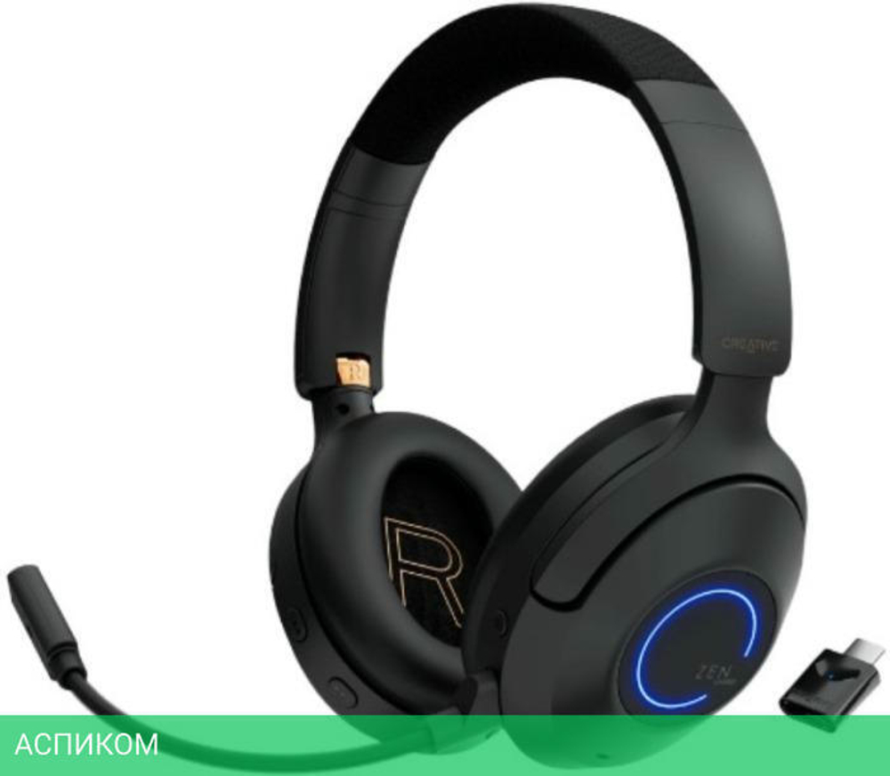 Наушники Creative Zen Hybrid Pro Classic черный (51EF1040AA001)