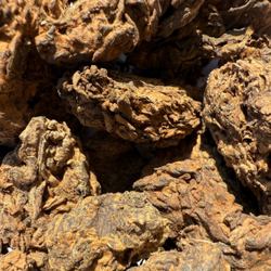 Лао Ча То. Юн Г. Большие. 50 г.