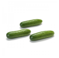 ЛАРИНО F1 семена огурца (Rijk Zwaan | Alexagro)