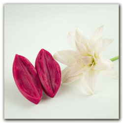 Лепестки лилии Дабл Плеже