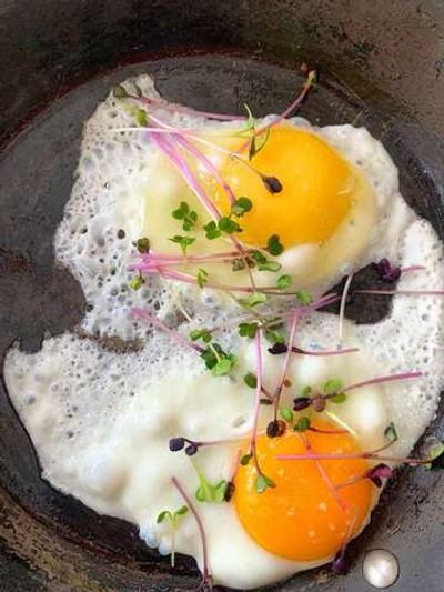 Микрозелень редиса