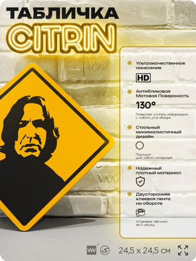 Табличка декоративная "Северус Снегг (Снейп) из Гарри Поттера" на дверь и стену, прикольная штука в подарок, декоративный знак для комнаты, офиса, 24,5х24,5 см, пластиковая, Айдентика Технолоджи