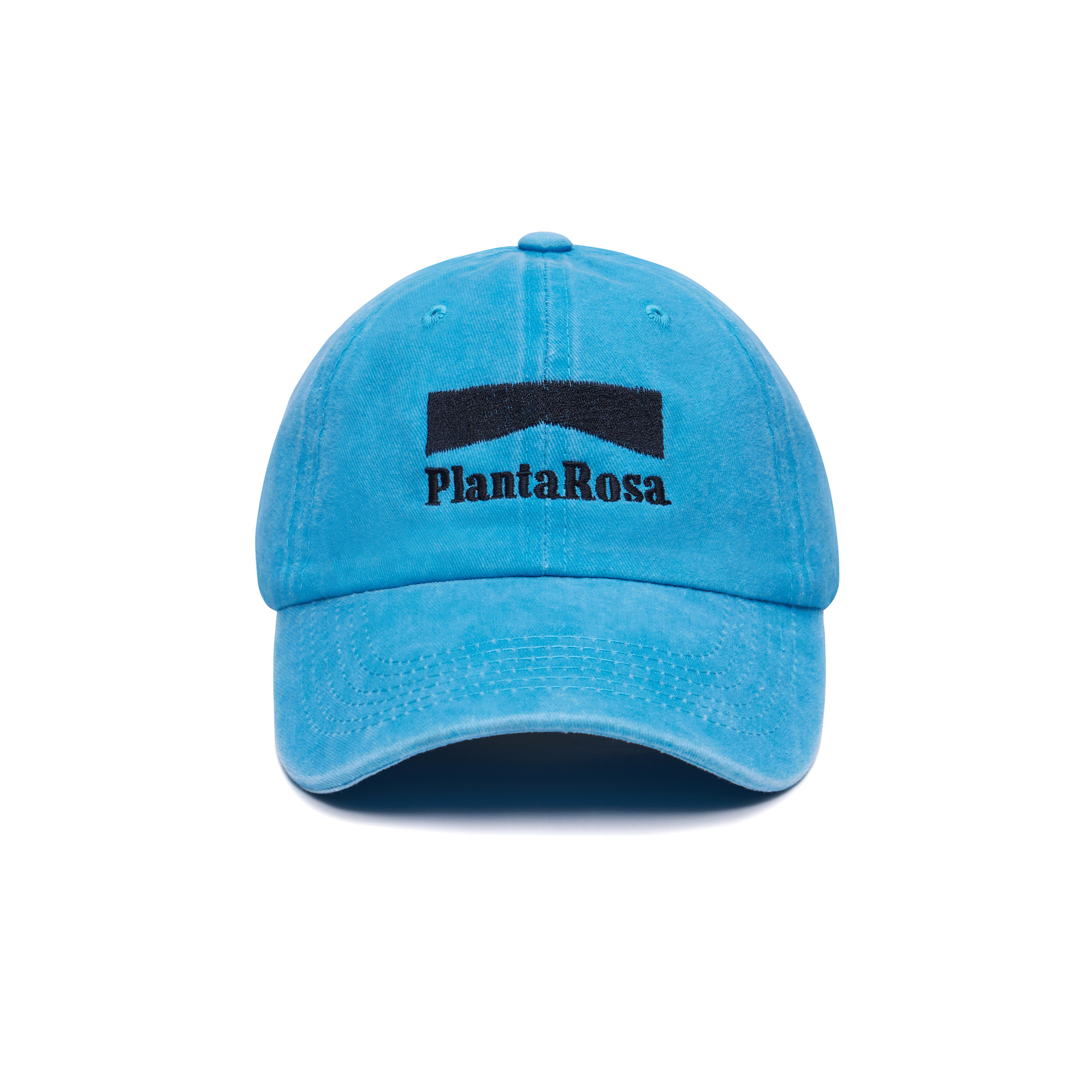 Planta Rosa