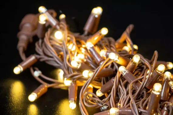 Светодиодная нить 100 теплых белых LED ламп, 10 м., 24В, статика, коричневый провод ПВХ, Teamprof (TPF-S10C-24V-CBz/WW)