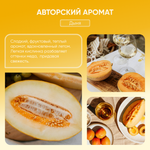 Экогель для мытья посуды концентрированный "Torelis" Дыня (1л)