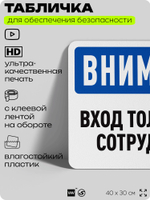Табличка для обеспечения безопасности "Внимание, вход только для сотрудников", для офиса, по охране труда для предприятия, организаций, 40х30 см, Silver Plane x Айдентика Технолоджи