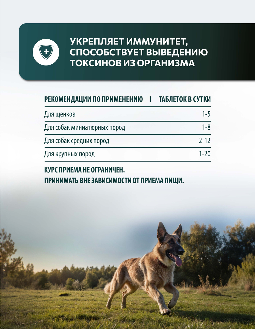 Vita+ мультивитаминное лакомство для собак Крепкий иммунитет, 90 таблеток